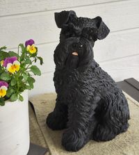 Dv&auml;rgschnauser svart - 35 cm