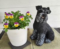 Dv&auml;rgschnauzer svart/silver - 35 cm